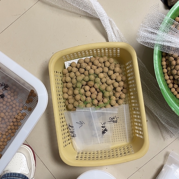 忌***@手串猴头核桃龙珠50颗