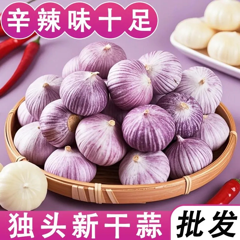 2025年新蒜干蒜精品紫皮独头蒜独蒜批发新鲜蔬菜紫皮大蒜红皮独蒜