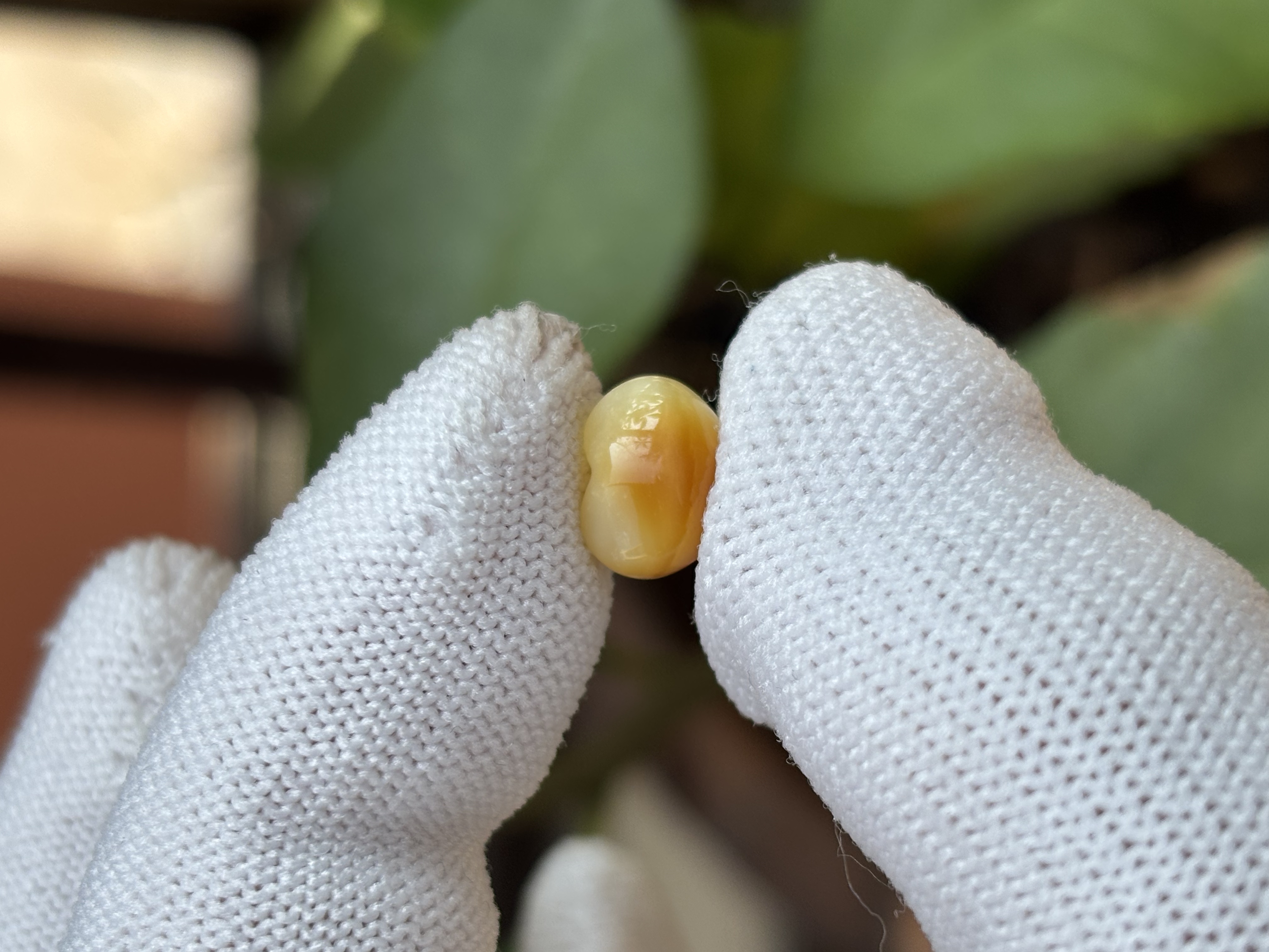 F0083天然蜜蜡琥珀屁桃配饰9.8x7.8x6.6mm