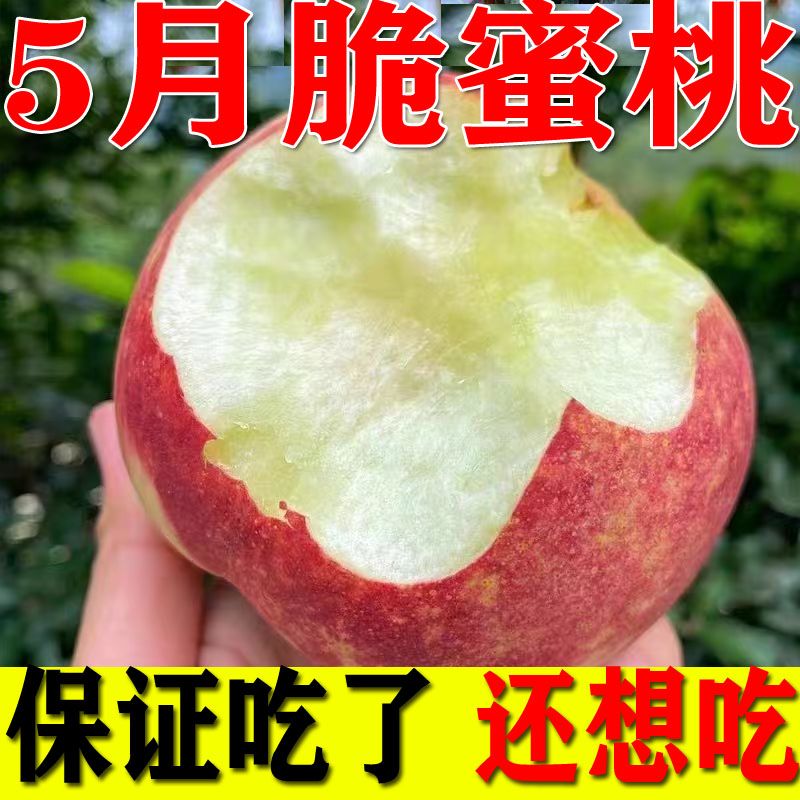 【次日达】重庆红玉甜脆桃桃子 硬吃脆甜 软吃爆汁 新鲜现摘现发 2斤3斤5斤重庆市