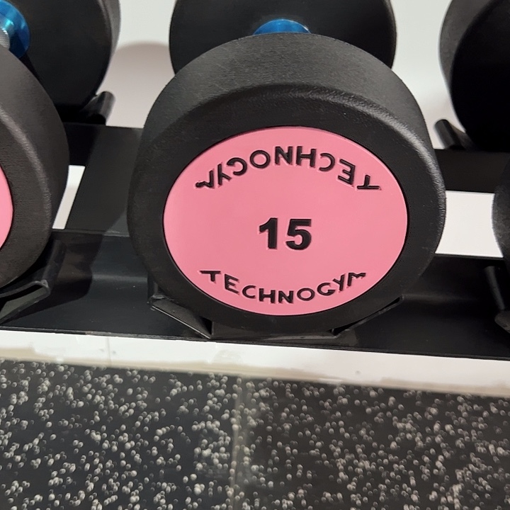 全新纯钢泰诺哑铃15公斤一只粉色