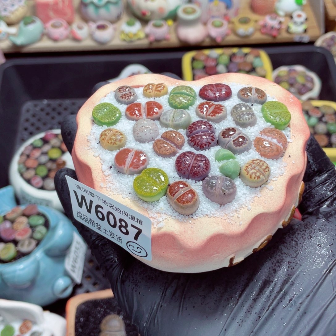 夜间零下地区拍保温箱w6087