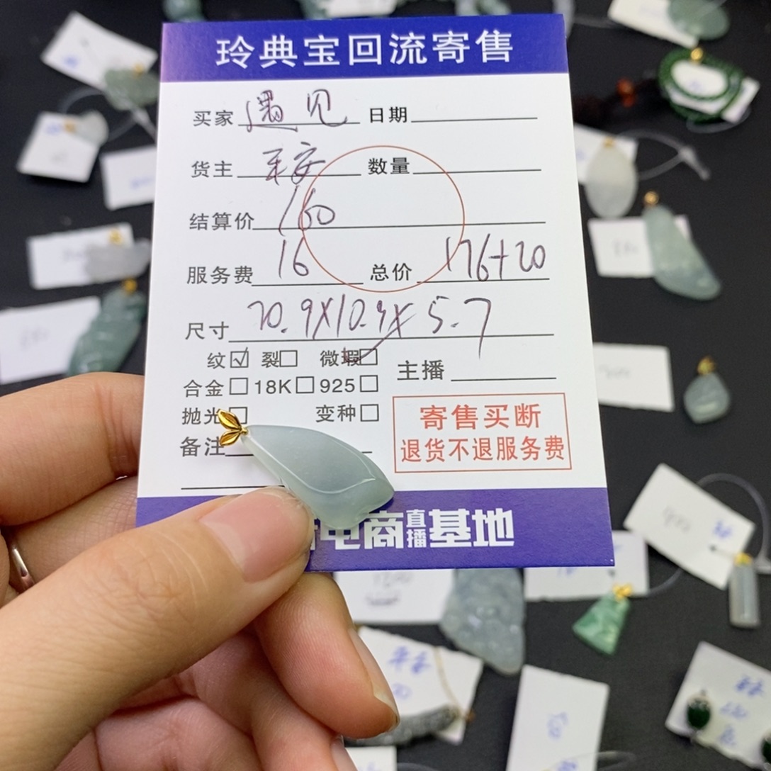 遇***梦翡翠18K金镶嵌颈饰