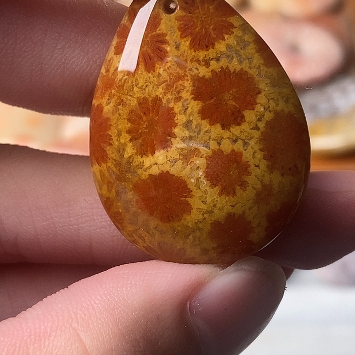 开***夜硅化玉未镶嵌颈饰