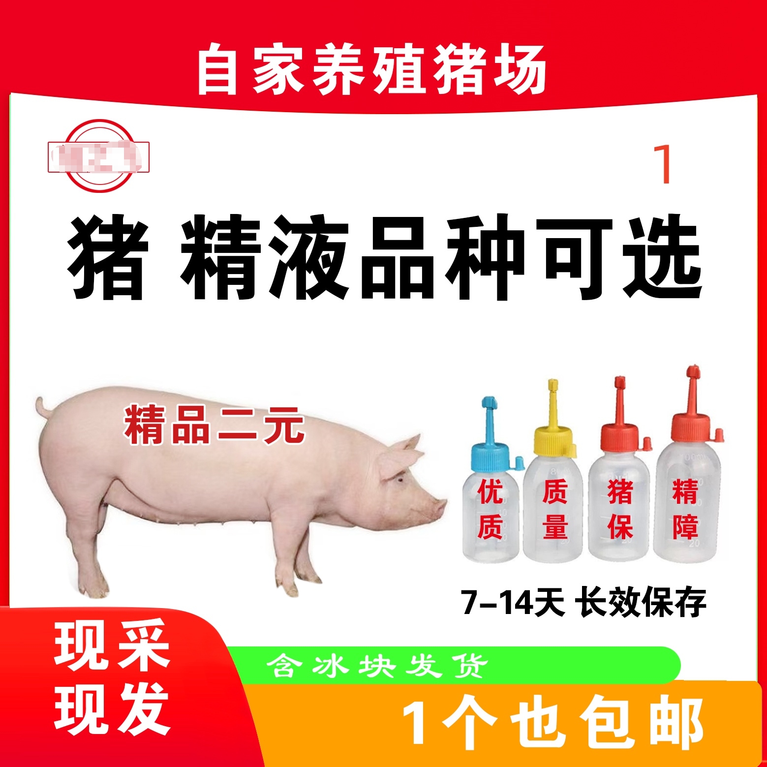 二元猪精包对版养殖猪用猪精耗材包邮包对版生态养殖猪用猪精耗材