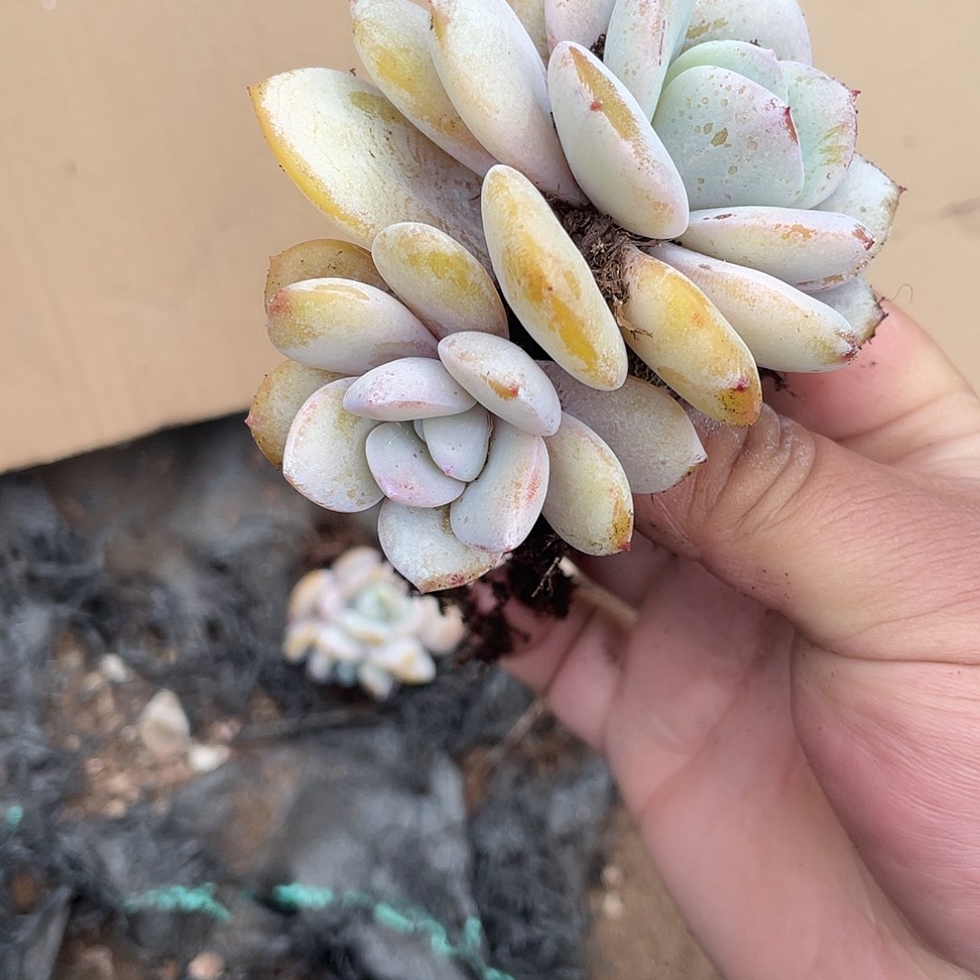 一****°284664649646466464