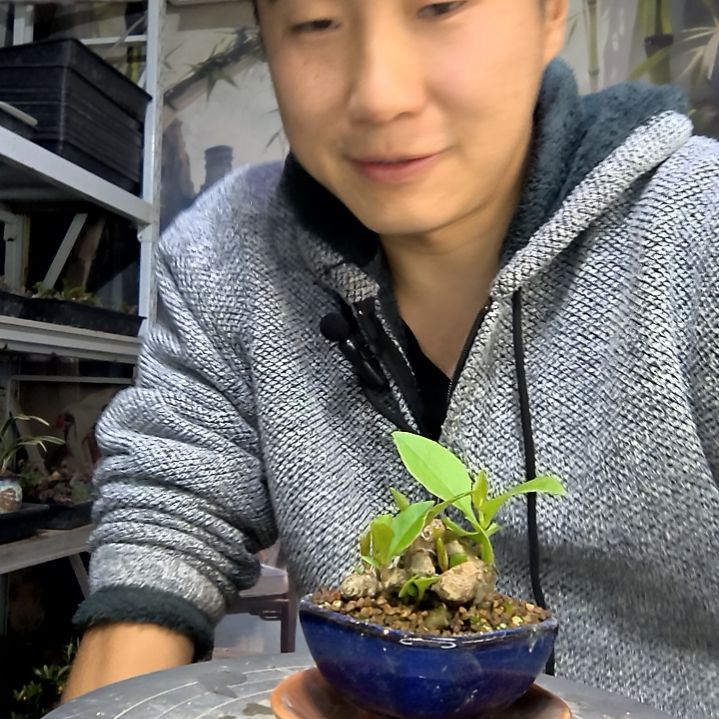 珊***珊中青园艺一物一拍花163