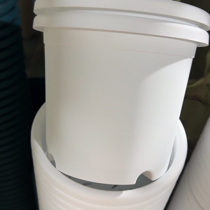 四季3号纯白无托10个特价