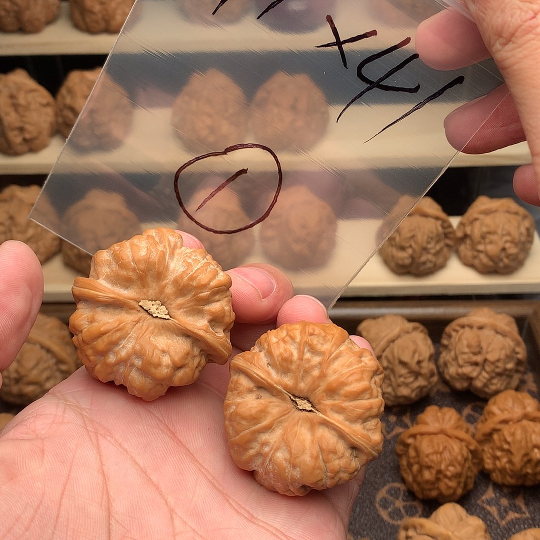 往***烟核桃蛤蟆头41全品无修