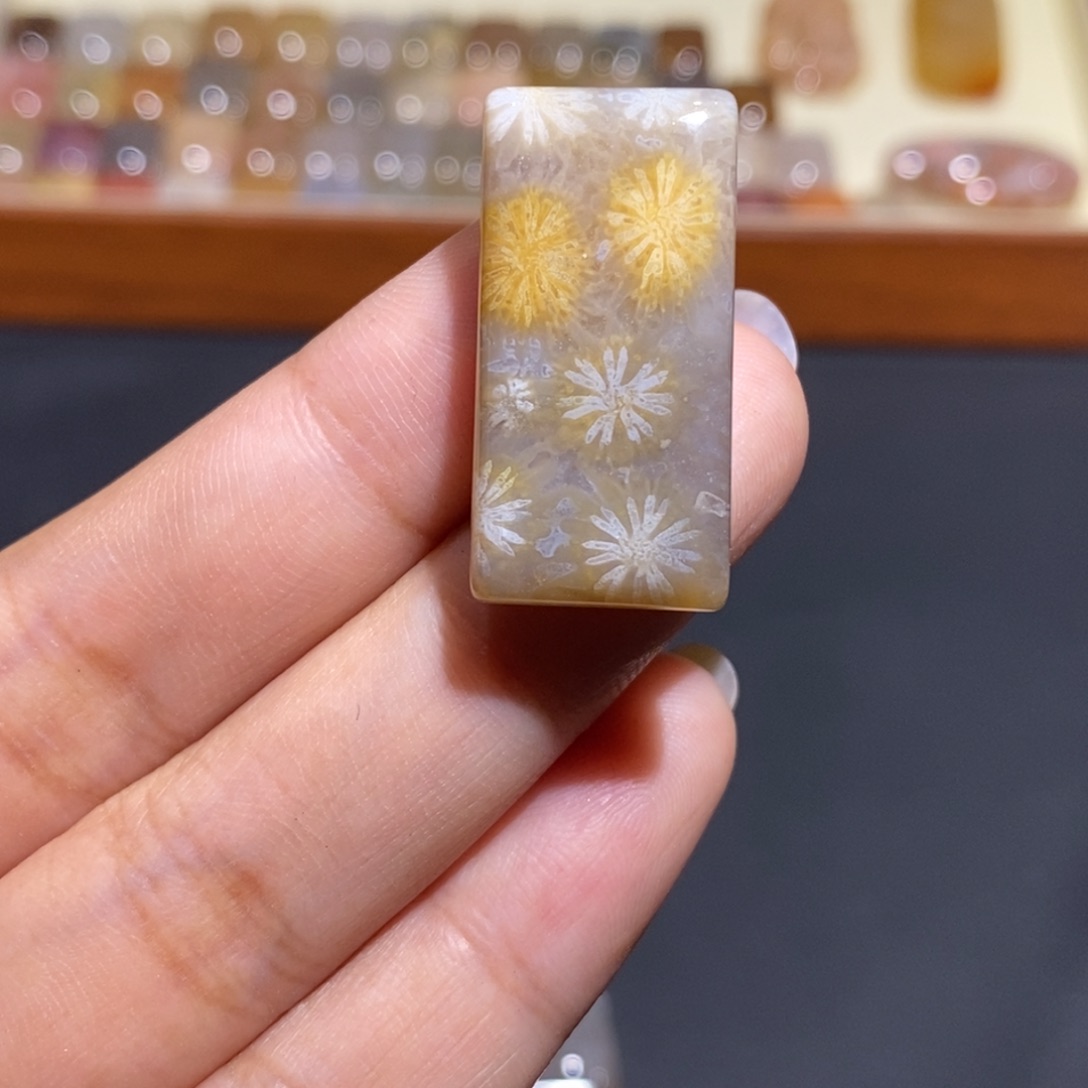 【闪购商品】未镶嵌珊瑚玉硅化玉