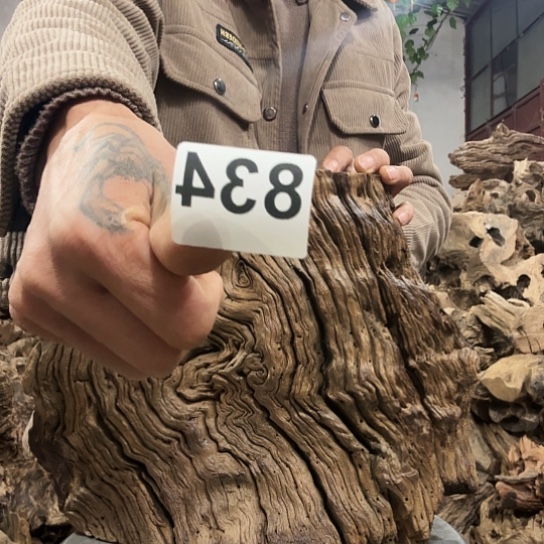 张*升紫砂啦啦啦啦啦啦