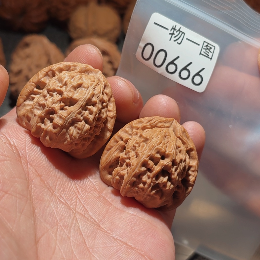 文玩核桃把件白狮子