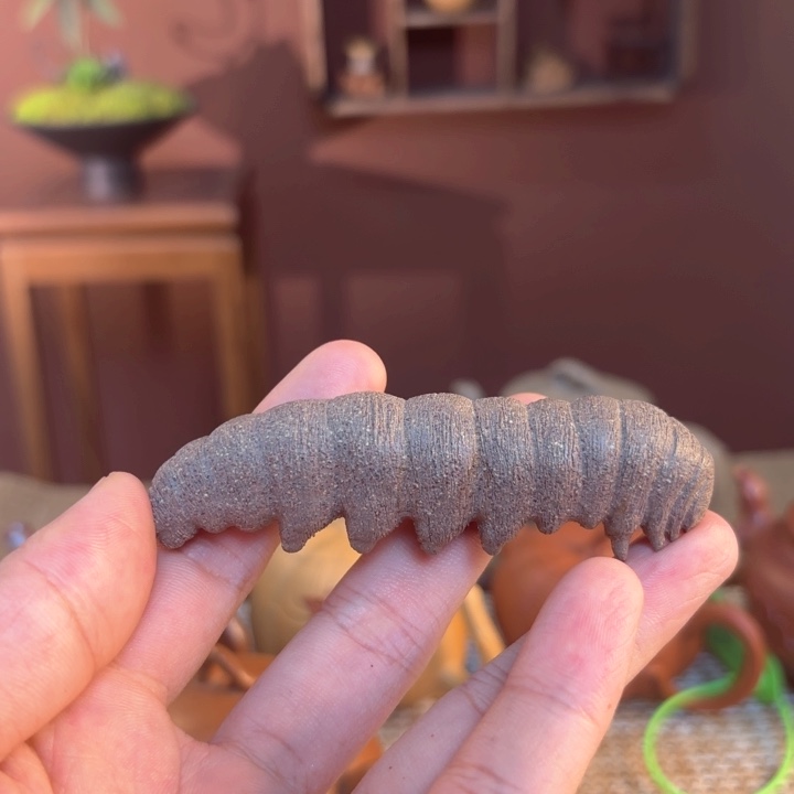 紫砂茶壶紫砂我做的