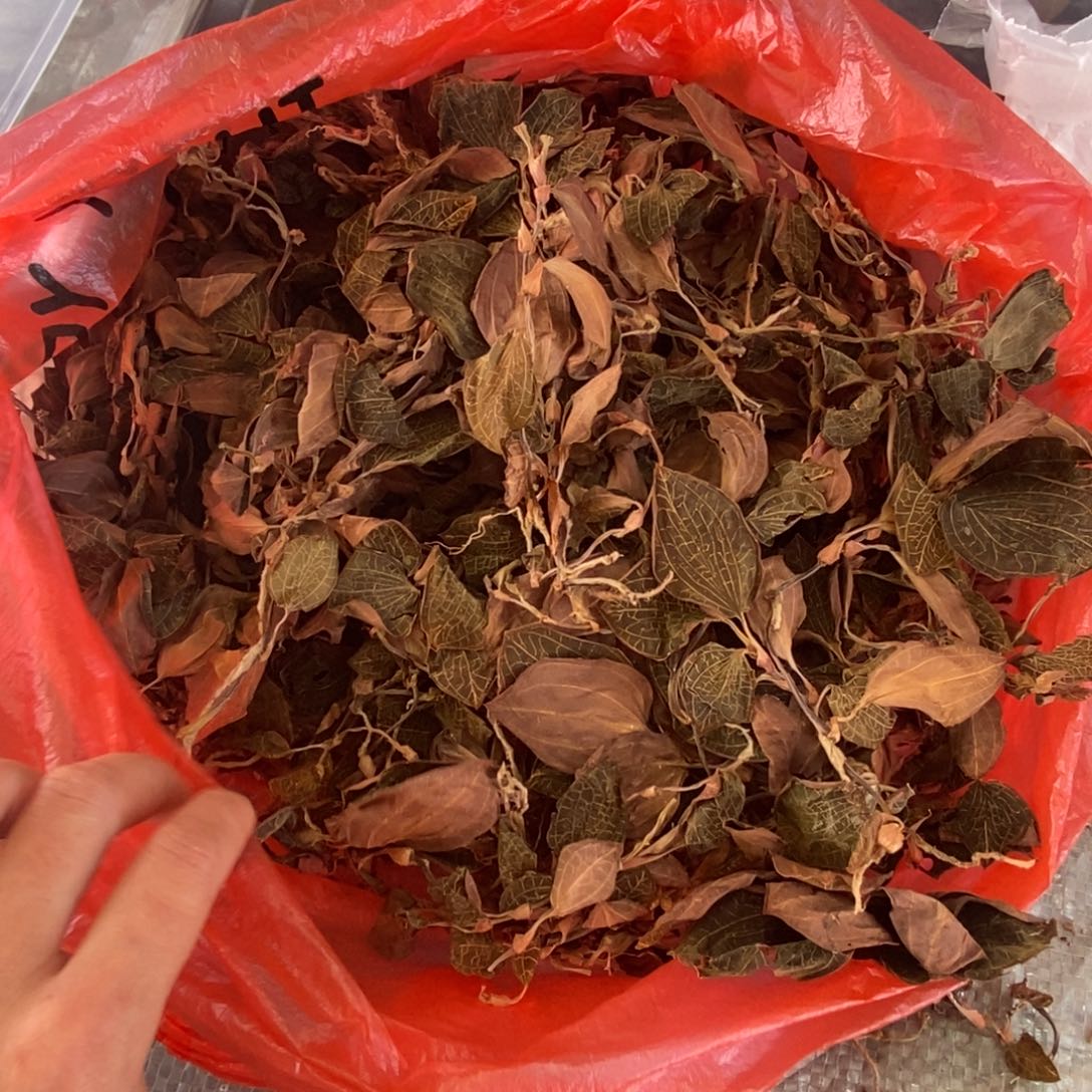 金线莲1g500g山货