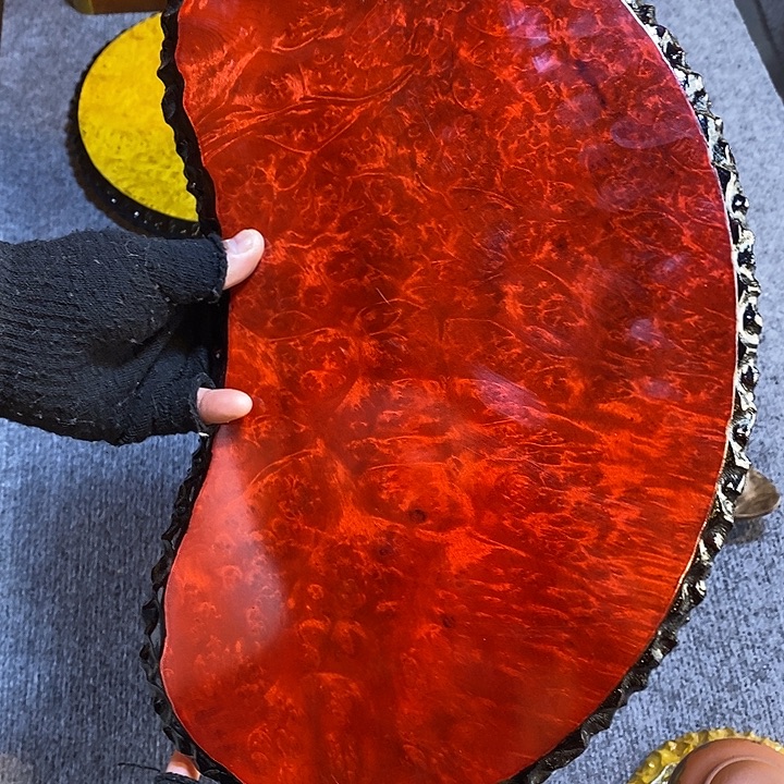 红金樟特价不退换40 22 2