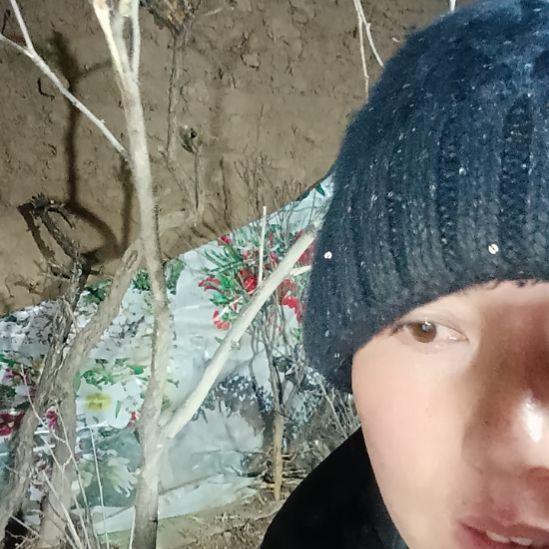 和***福完全开放文冠树一颗