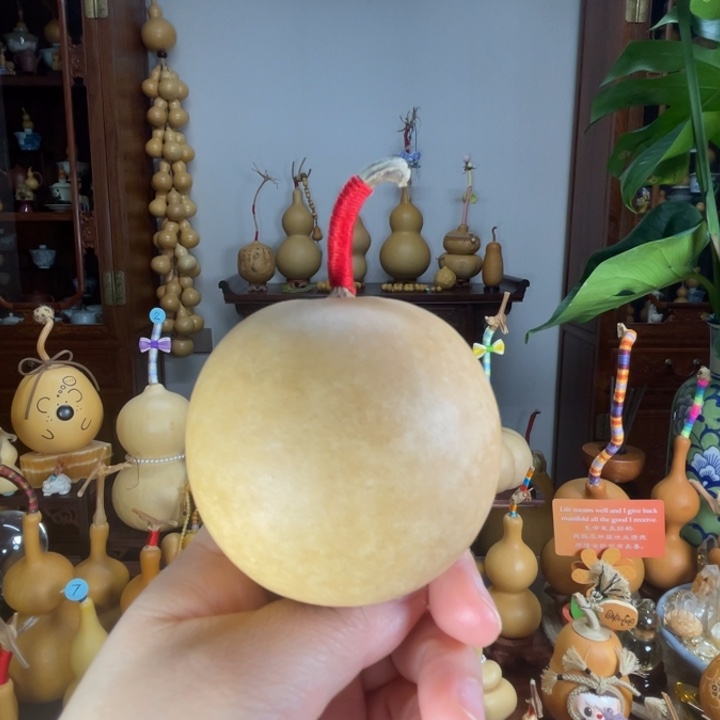 苹果型葫芦厚皮响籽