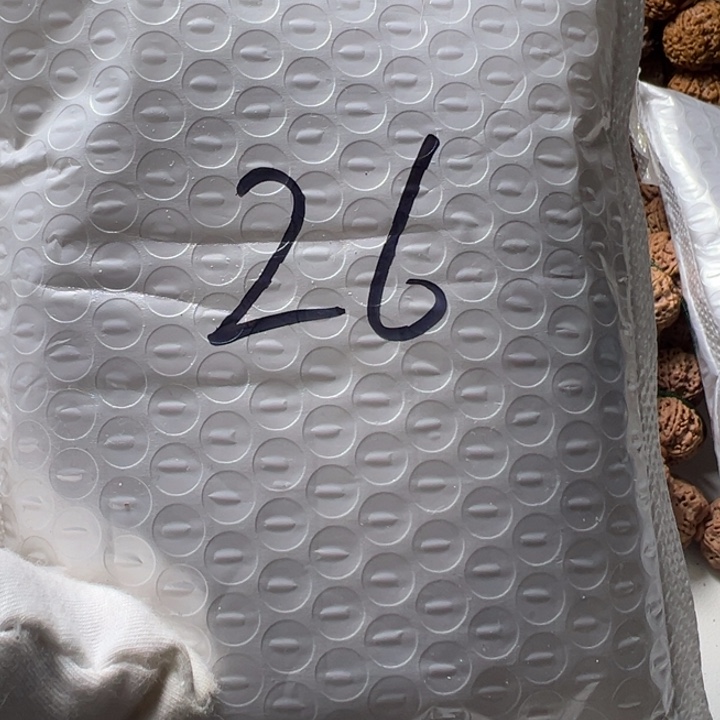 金刚菩提吊坠26号金刚