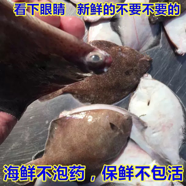 青岛本地鼓眼鱼野生海捕新鲜油炸香煎顺丰包邮宝宝辅食一斤6条