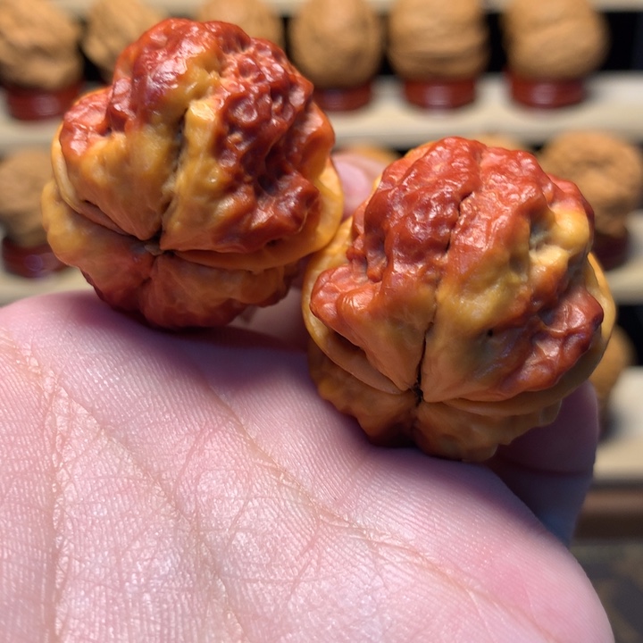 五***文玩核桃把件35火焰金蟾