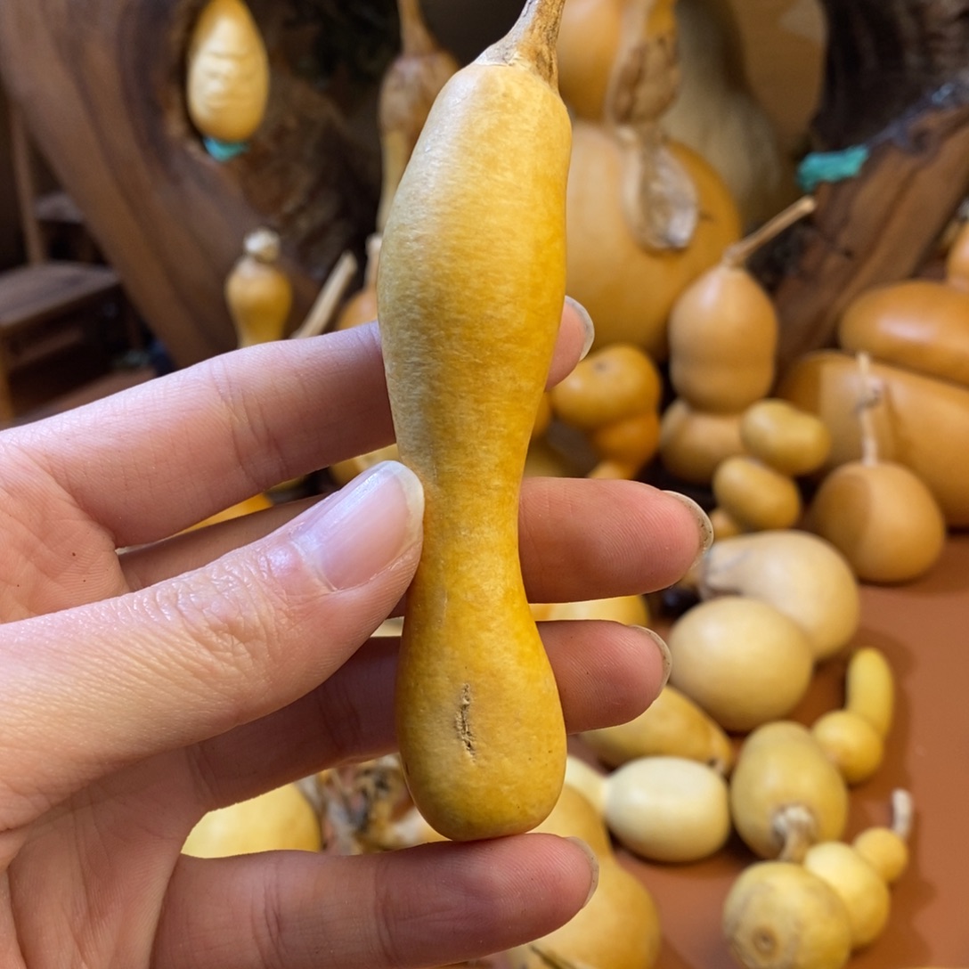 懒***洋教练教练咯教练经理