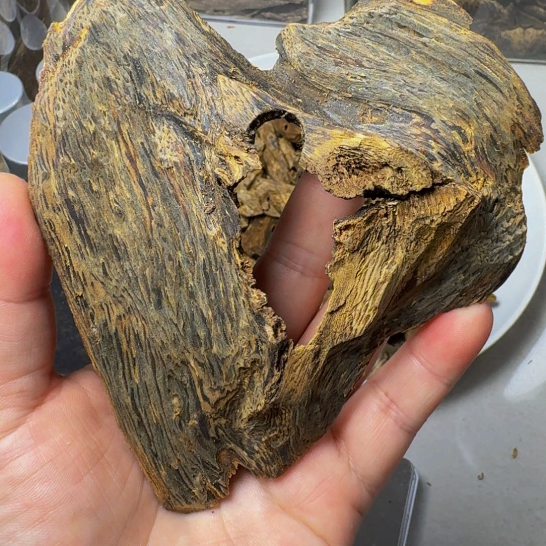 沉香沉香碎屑种植奇楠