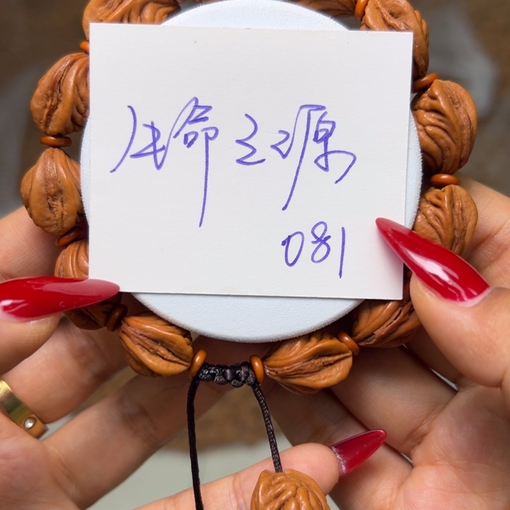 木质类秦岭龙纹桃核生命之源