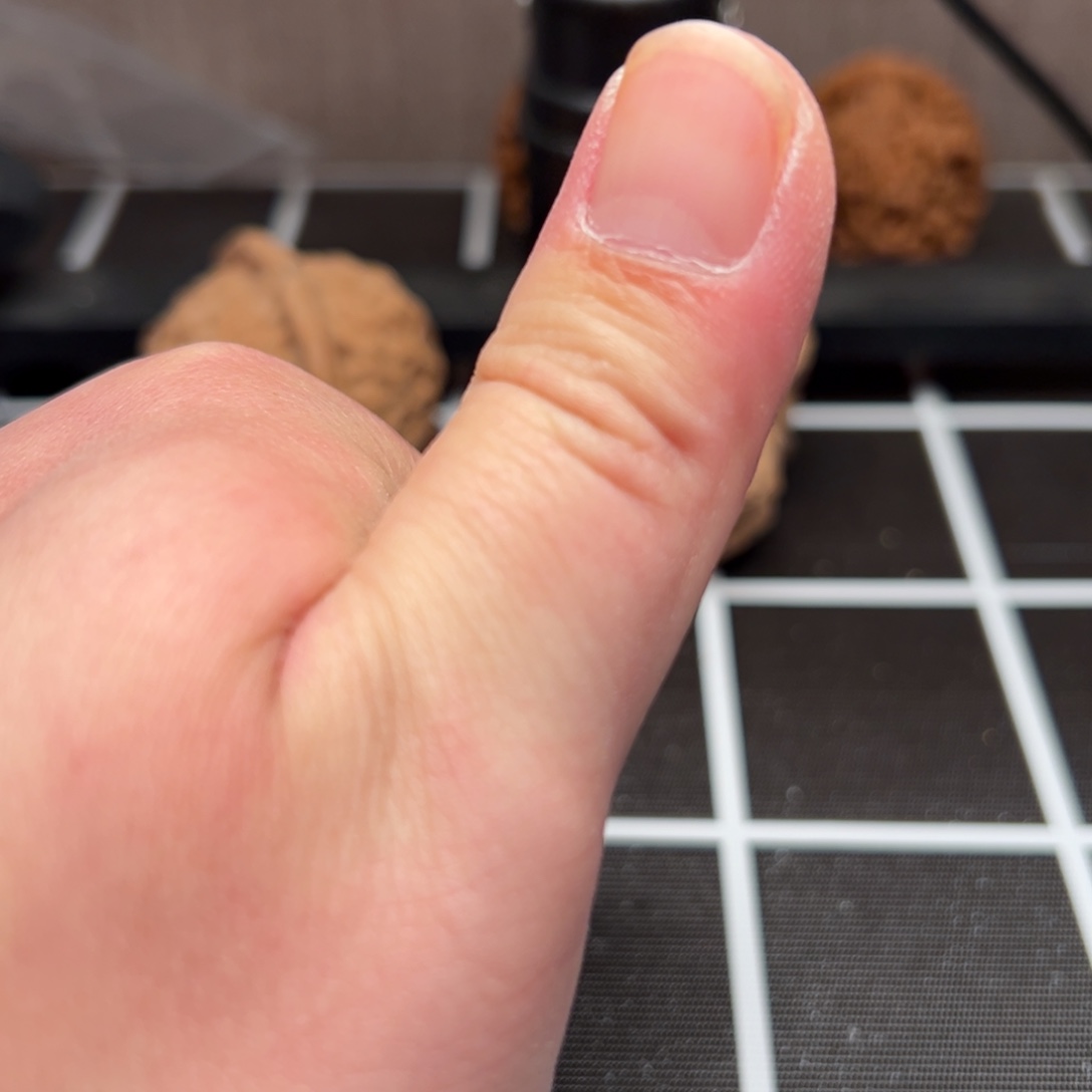 沉***忆大叶紫檀（黑酸枝木类）1111