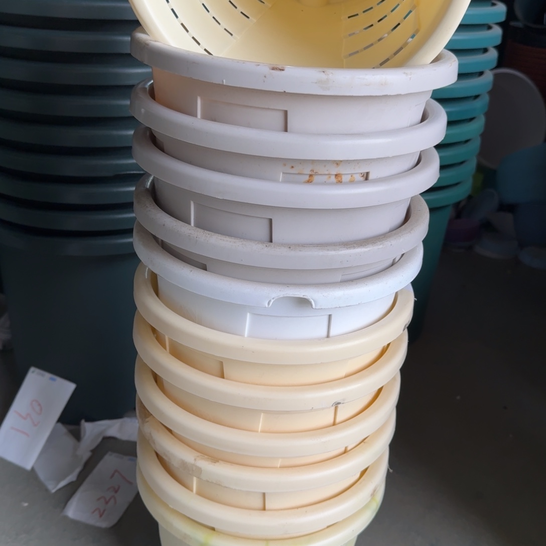 编号726缺口微瑕口径25