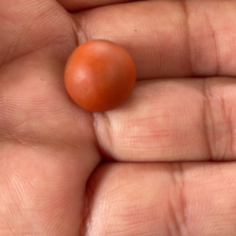 未镶嵌珠子南红玛瑙