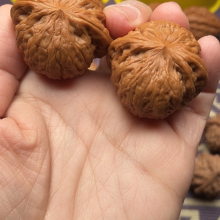 核桃文玩核桃全品铁锤妹妹