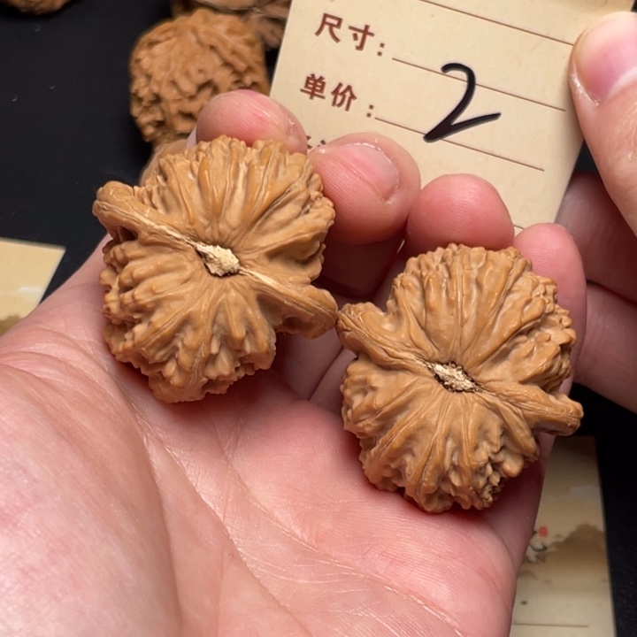 文玩核桃把件白狮子40尺全品白茬2