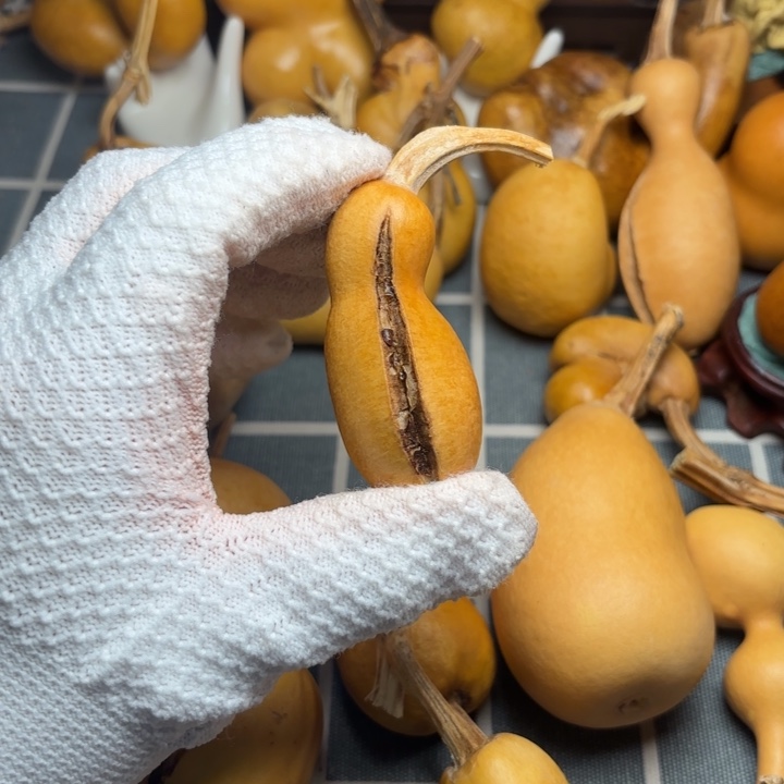 圆***宝葫芦裂666666666666