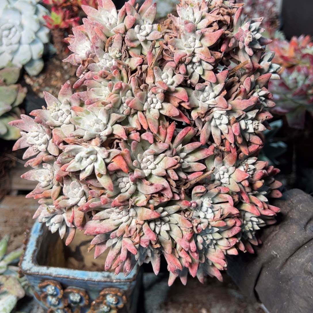 8868哈哈哈哈哈哈哈哈