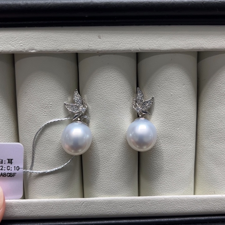 海水珍珠上新澳白蝴蝶耳坠10-11mm银S925镶嵌