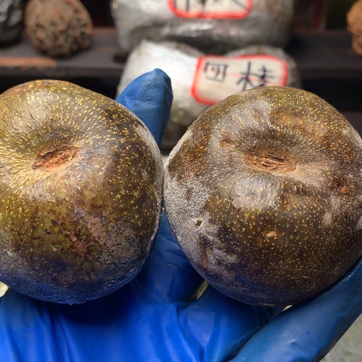 小****大叶紫檀（黑酸枝木类）