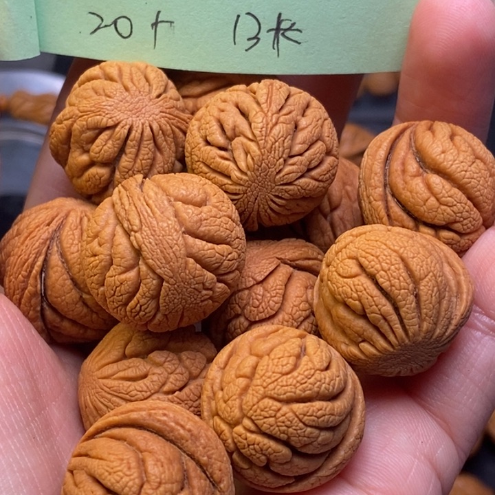 吊坠桃核秦岭龙纹桃核20尺寸