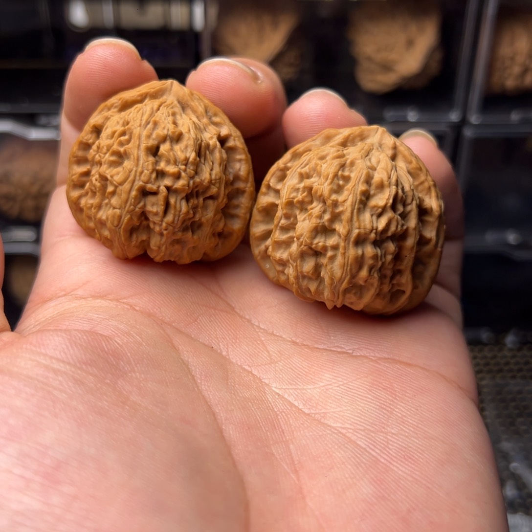 文玩核桃把件三角白660