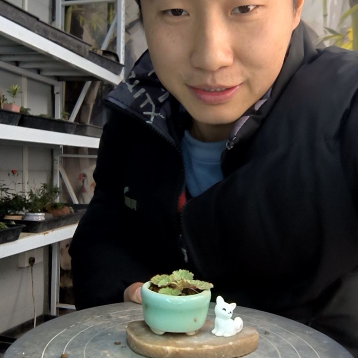 一****?小盆景小植物一物一拍161