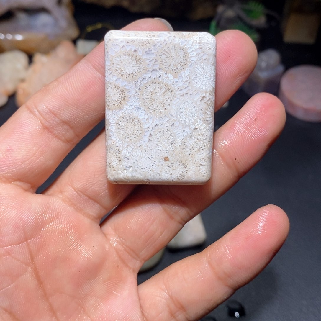 【闪购商品】硅化玉颈饰未镶嵌