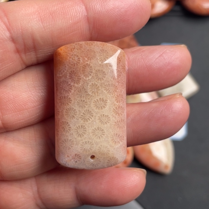 合金珠宝奇石硅化玉668