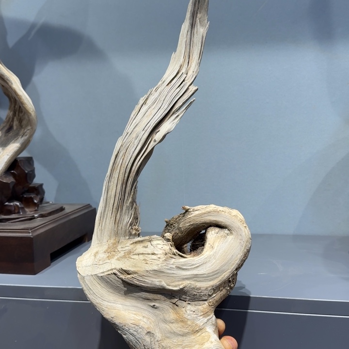 清***水柏木香港经济健康坎坎坷坷