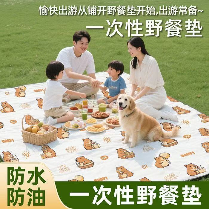 随机混搭  加厚防水野餐垫