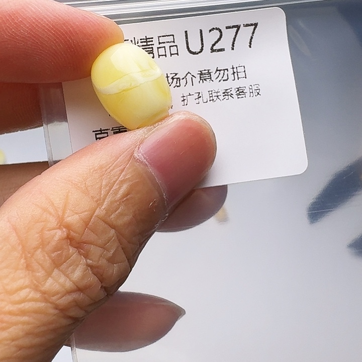 裸石琥珀未镶嵌琥珀