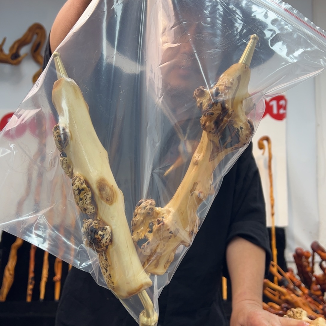 其他黑果木黑果木766