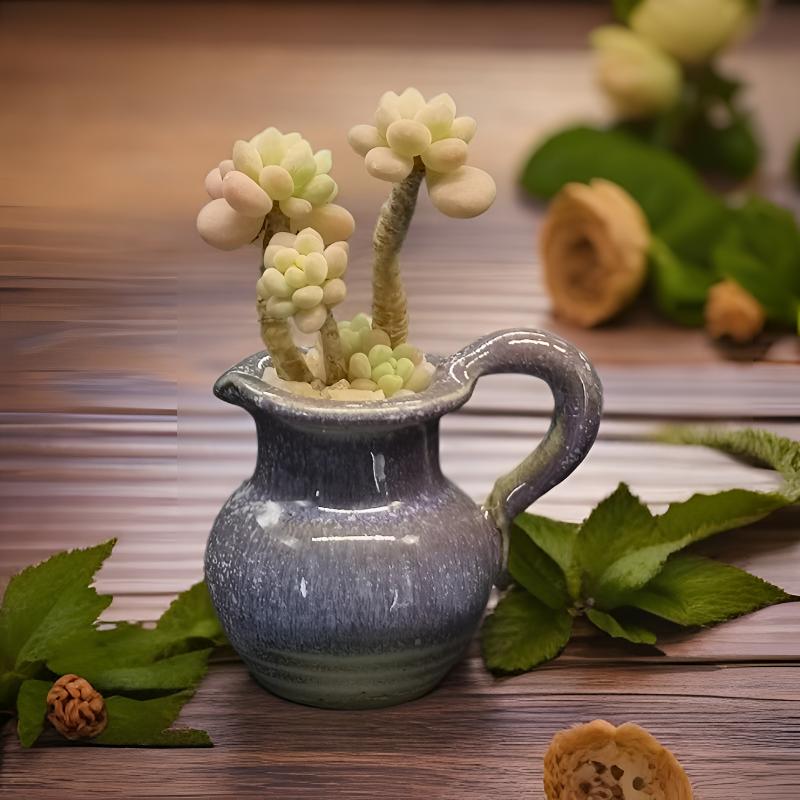 直播间拇指多肉花盆陶瓷1号0101-0150