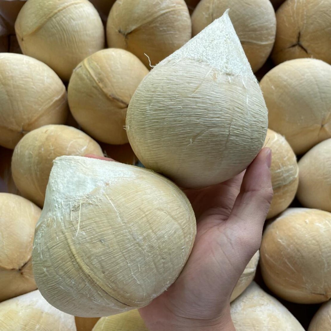 椰黄1枚约460g【1小时送货到家】