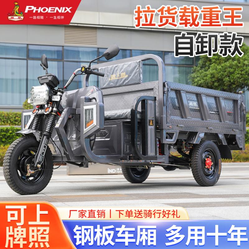 凤凰自卸电动三轮车农用货车载重成人拉货快递新款家用电瓶车