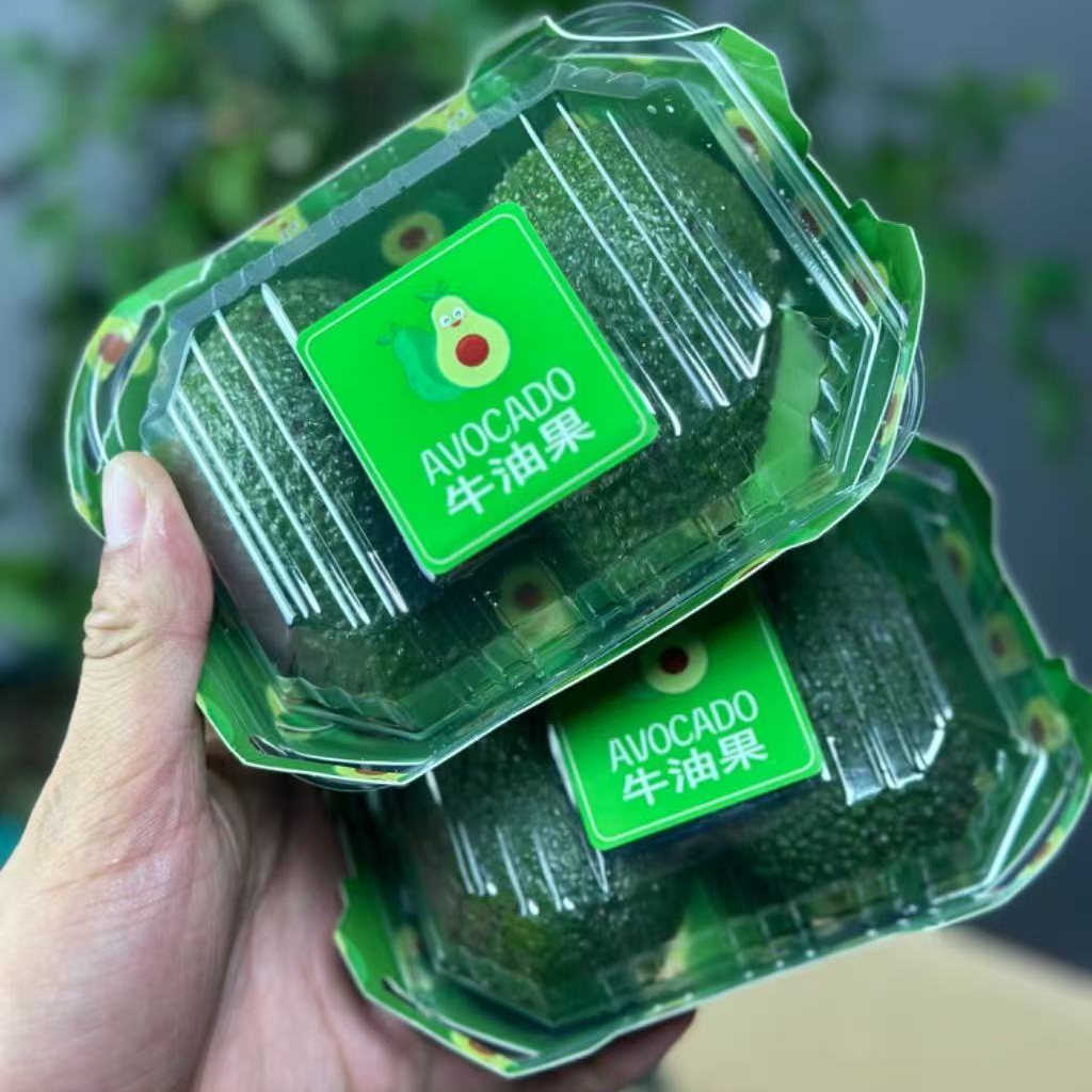 肯尼亚牛油果十盒一20枚礼盒装，一盒约250g