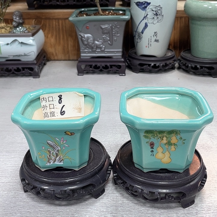 陶瓷花盆抢购福利